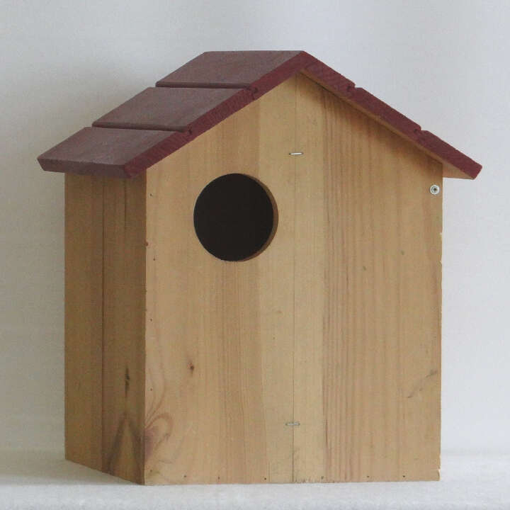 Kleiber Eichhörnchenwohnung